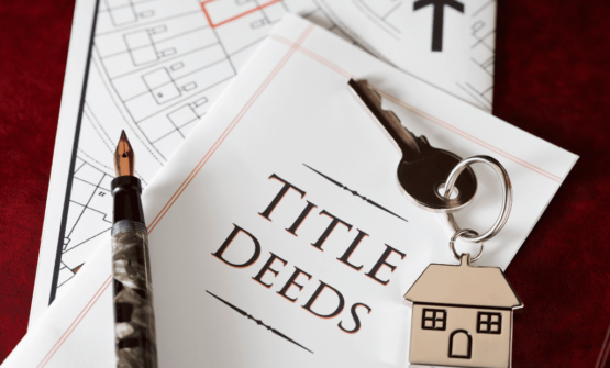 Francis-title_Home-Trusted-Partner